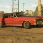 Muscle